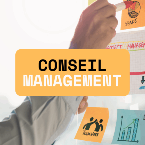 Conseil management