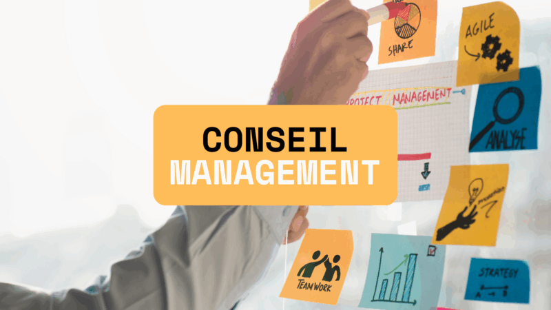 Conseil management